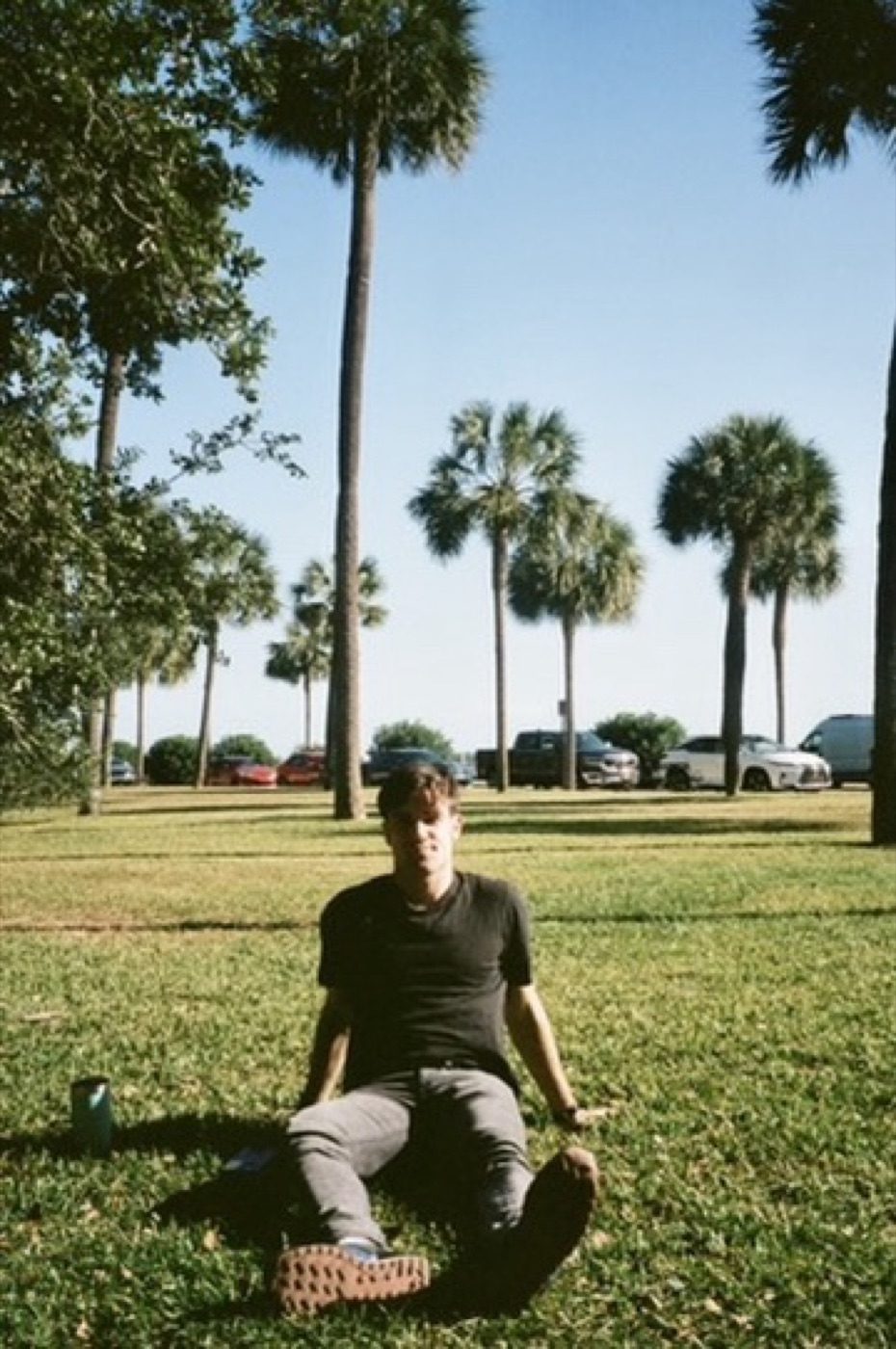 Man seated on grass beneath tall palm trees on a sunny day