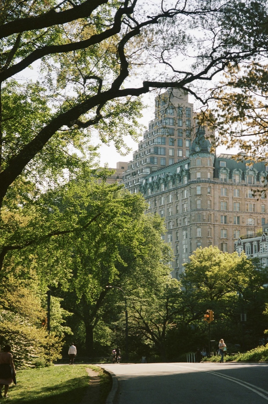 A curving park drive in spring, green canopy overhead and an ornate turreted apartment building rising beyond the trees.