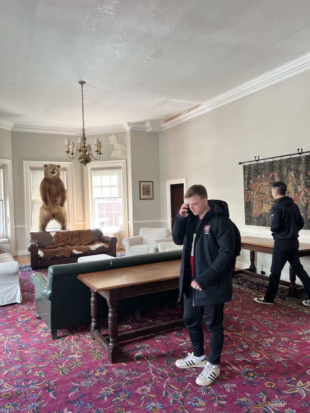 Two men wander a grand common room with a floral rug, a tapestry, and a standing taxidermy bear, one pacing on a phone call in a collegiate jacket.