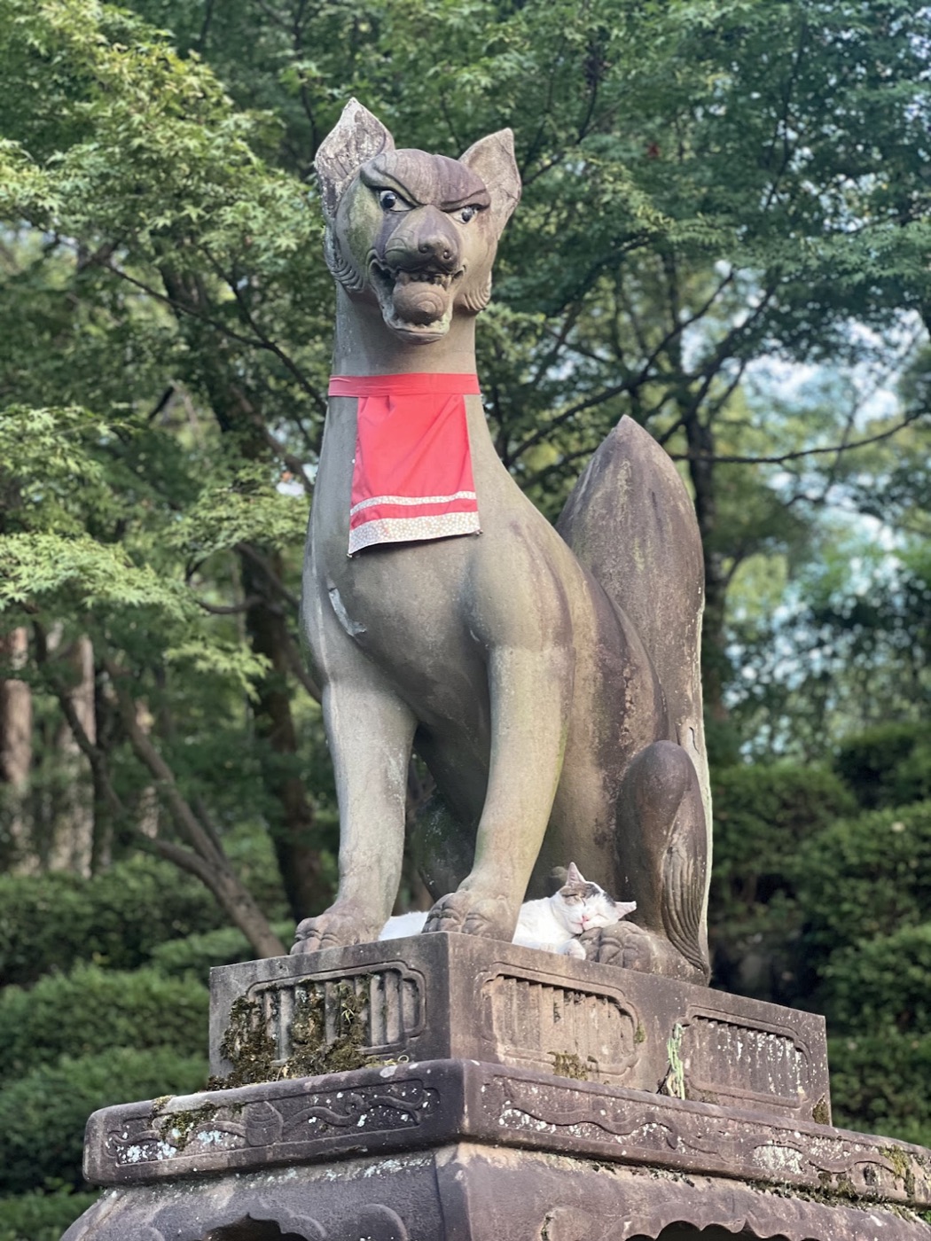 A stone fox statue in a red votive bib guards its pedestal while a cat naps between its front paws.