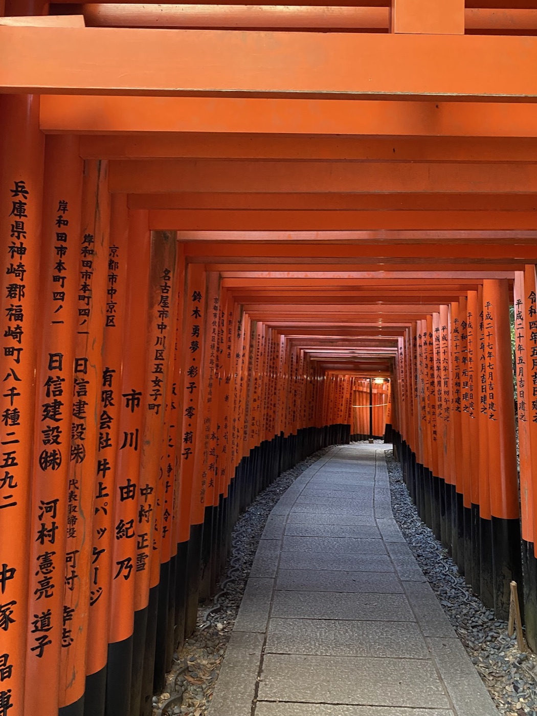 A tunnel of vermilion torii gates at Fushimi Inari, their columns inked with black donor inscriptions, curves along a stone path.