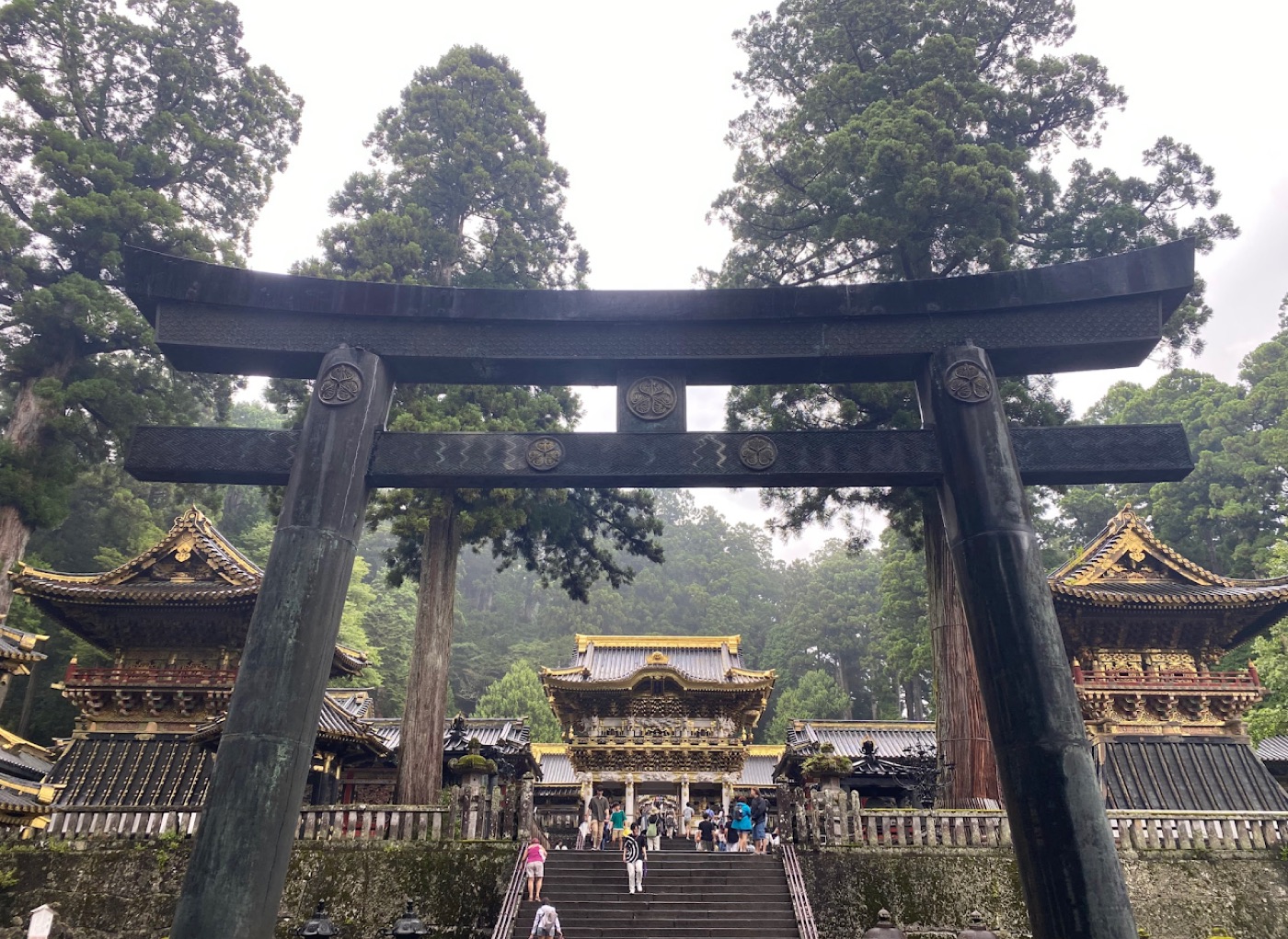 A massive bronze torii frames a gilded shrine gate and lantern-lined stone steps beneath towering cedars.