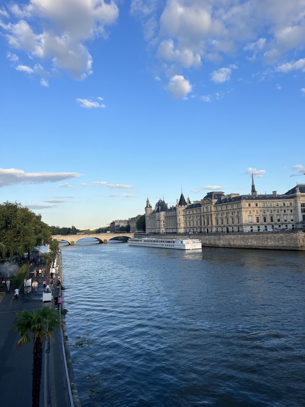 A long river cruise boat passes a turreted riverside palace on the Seine under scattered clouds.