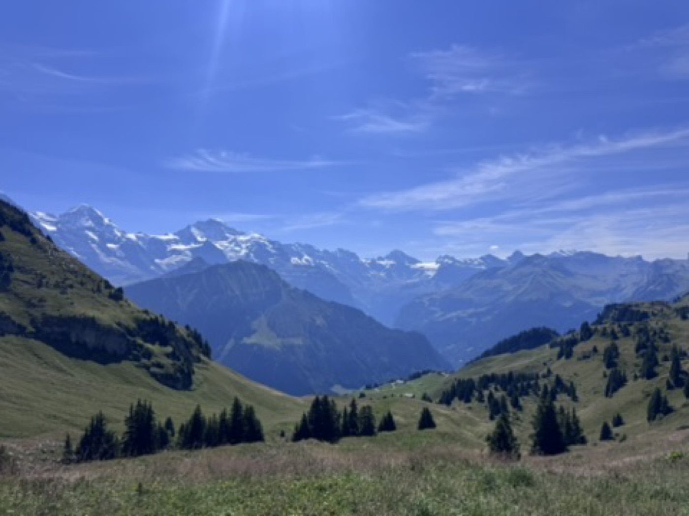 Lush green valley framing distant snow peaks