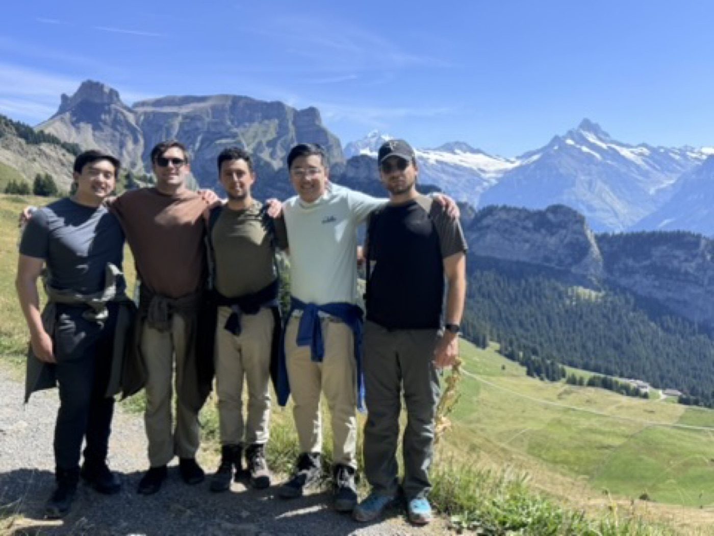 Five friends arm-in-arm on a sunlit Alpine ridge