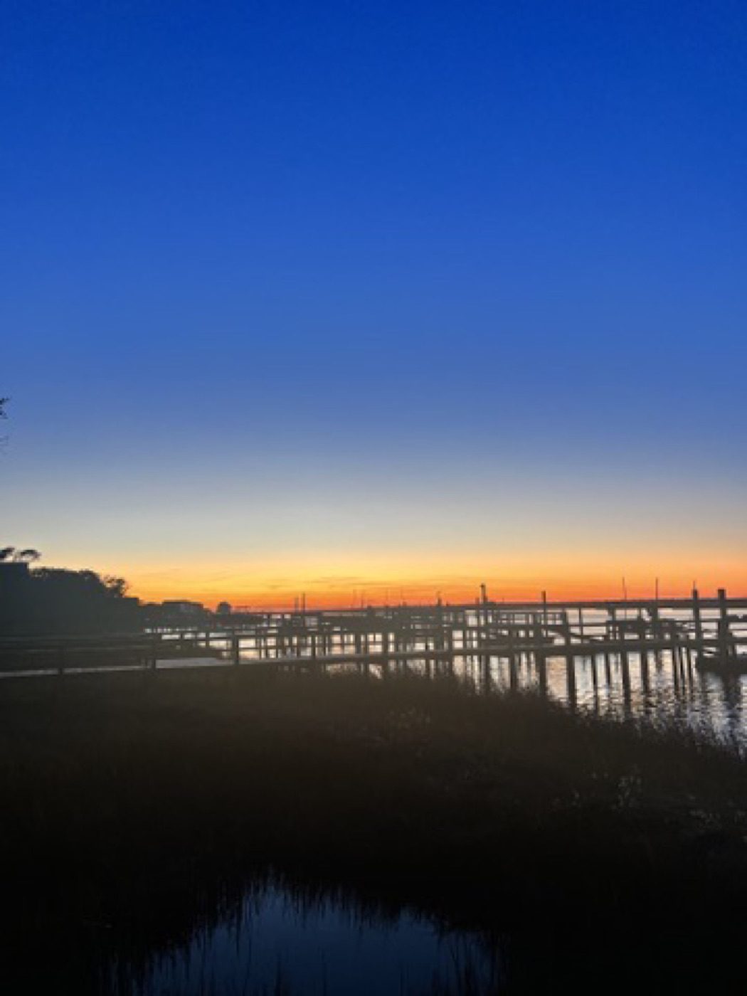 Blue-hour marina silhouettes over a marsh reflection