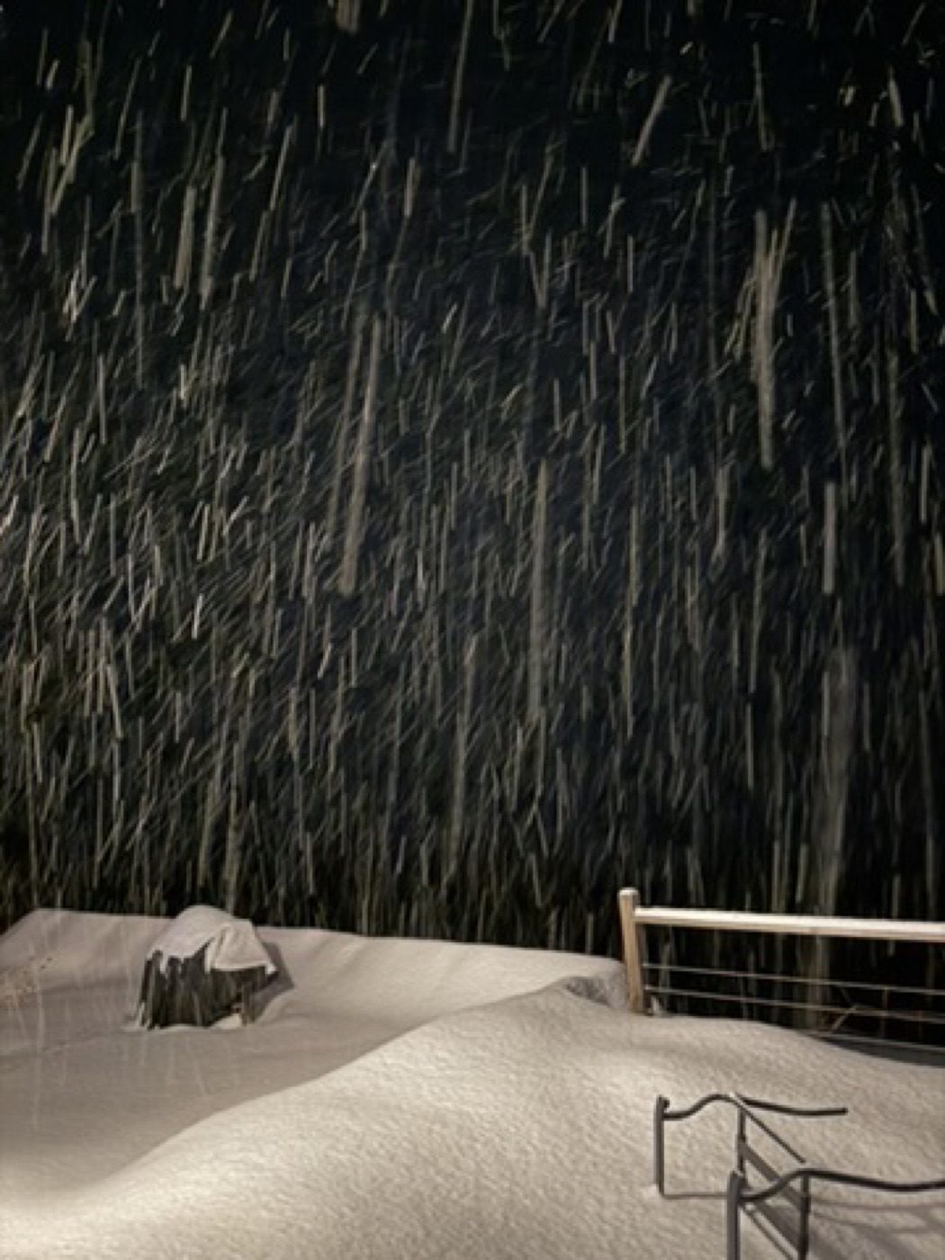 Snow streaking down through the dark of a winter night