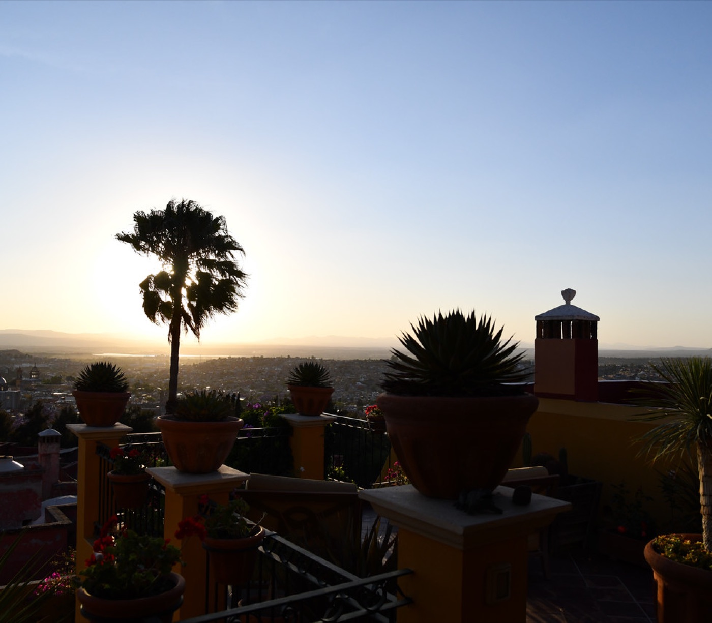 Sunset over a city seen from a rooftop terrace, a lone palm silhouetted against the sun with potted agaves along the railing.
