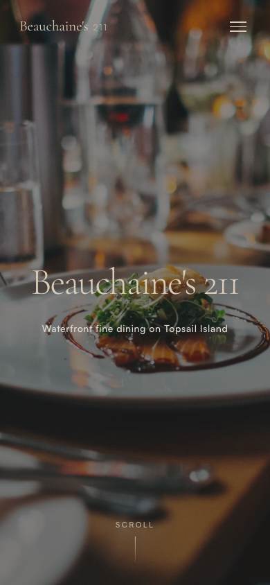 Beauchaine's 211 demo site on a phone screen
