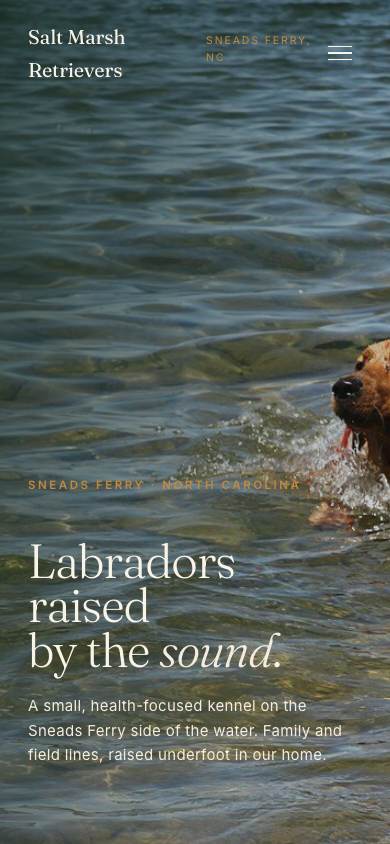 Salt Marsh Retrievers demo site on a phone screen