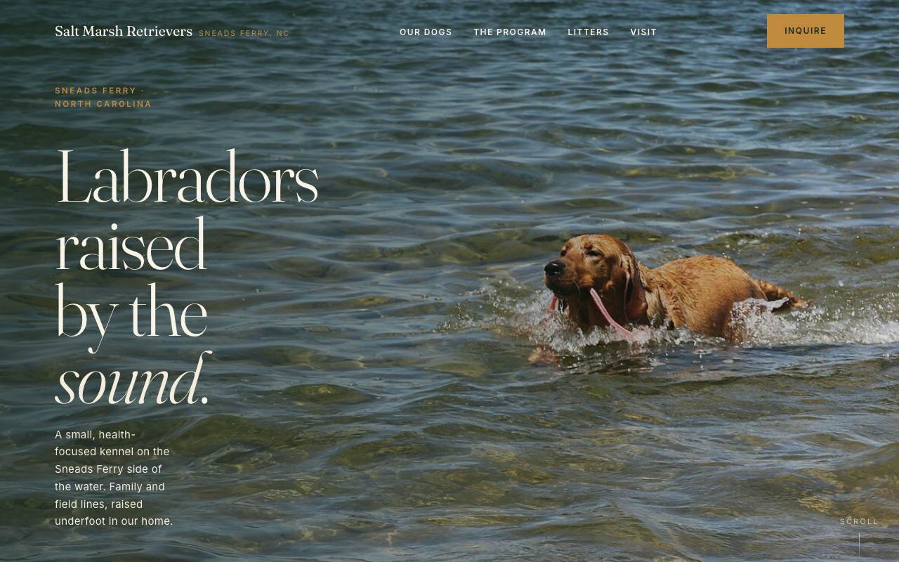 Homepage of the Salt Marsh Retrievers demo site